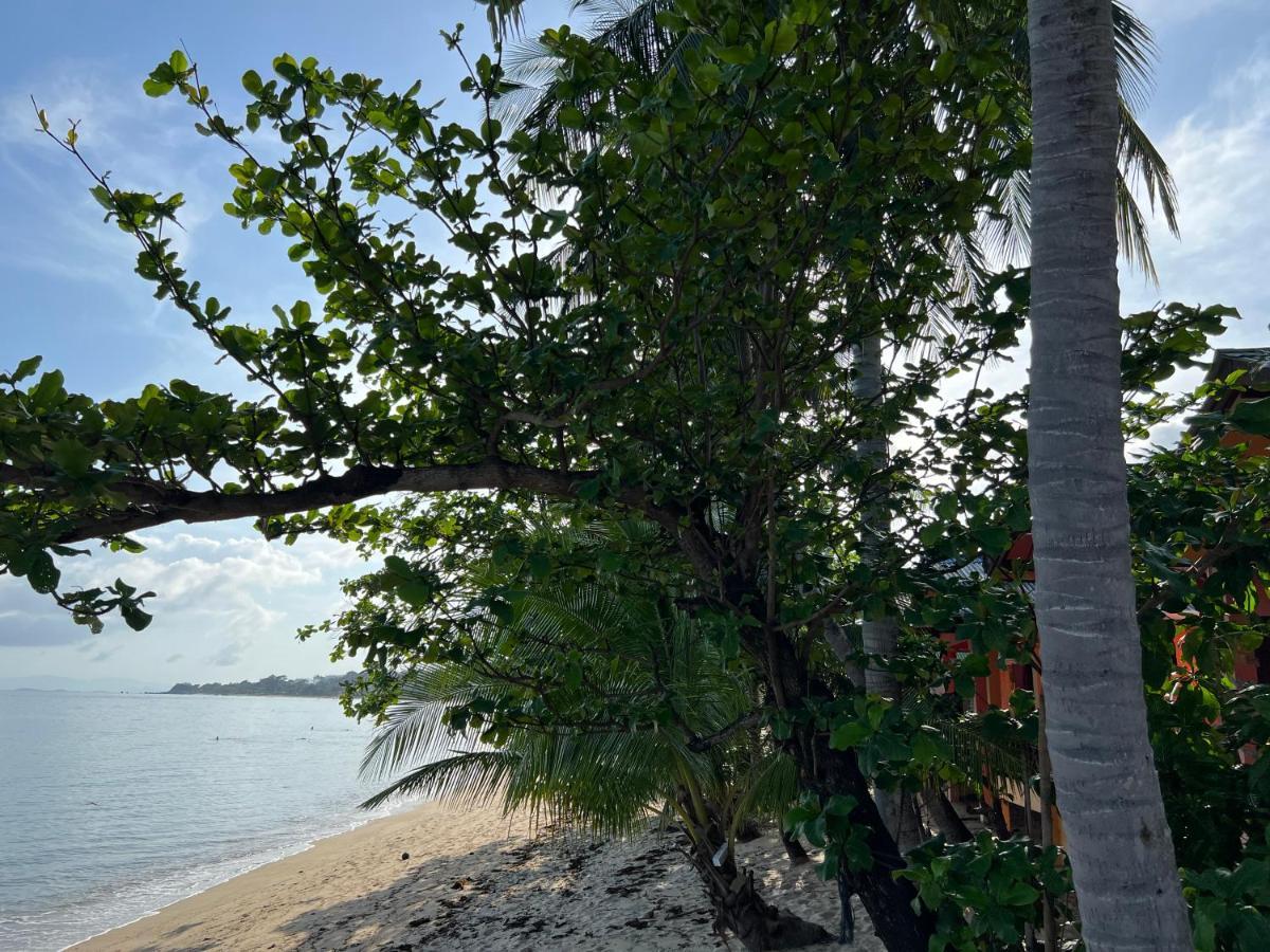 Wish Bungalow Koh Samui Bagian luar foto